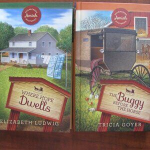 Sugarcreek Amish Mysteries Lot of 2 Read Once Christian Retail $40 new Guidepost